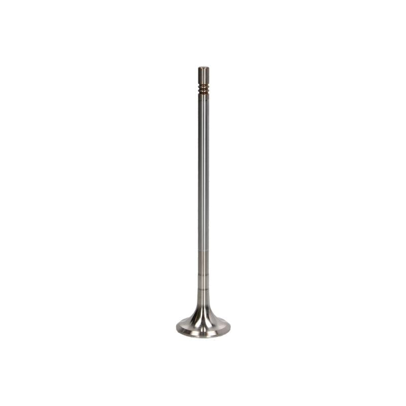 TRW 48316 Exhaust Valve