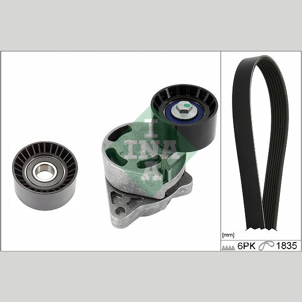 INA 529043610 V-Ribbed Belt Set