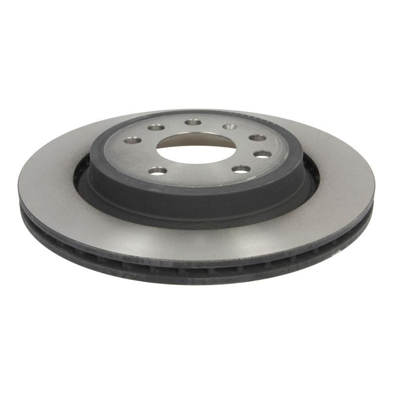 TRW MOTO DF4284 Brake Disc
