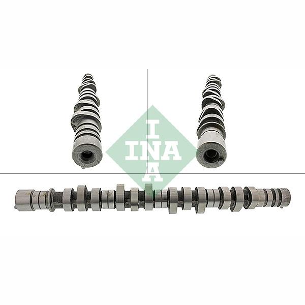 INA 428012610 Camshaft