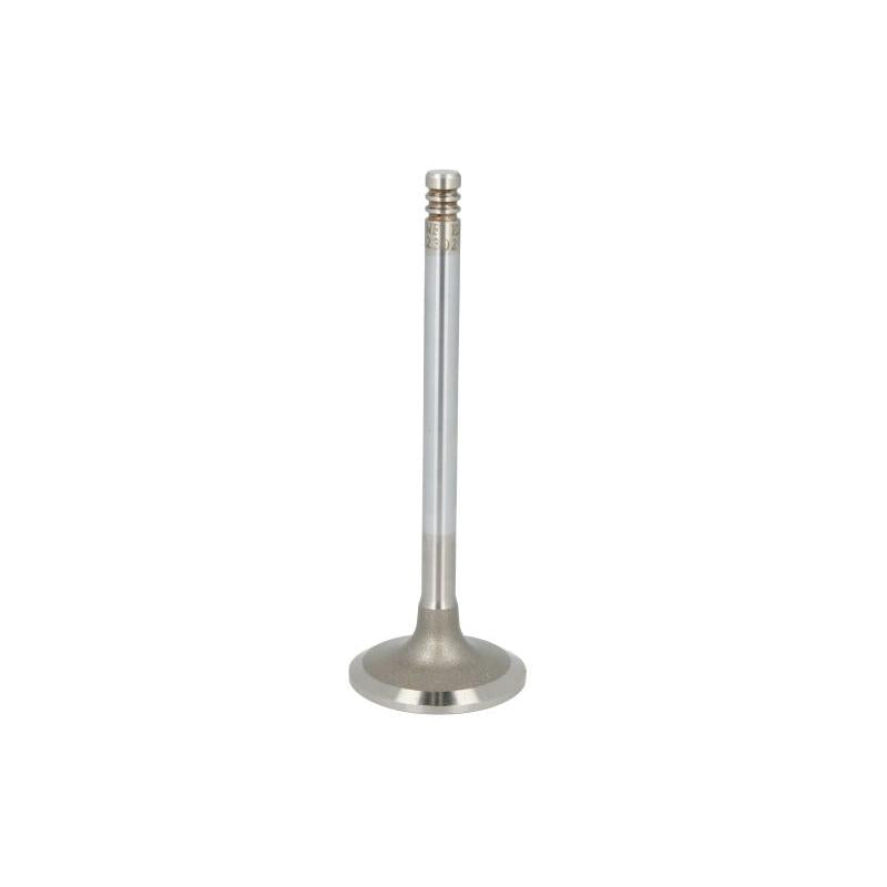 TRW 22302 Intake Valve