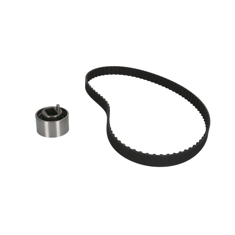 INA 530059310 Timing Belt Set