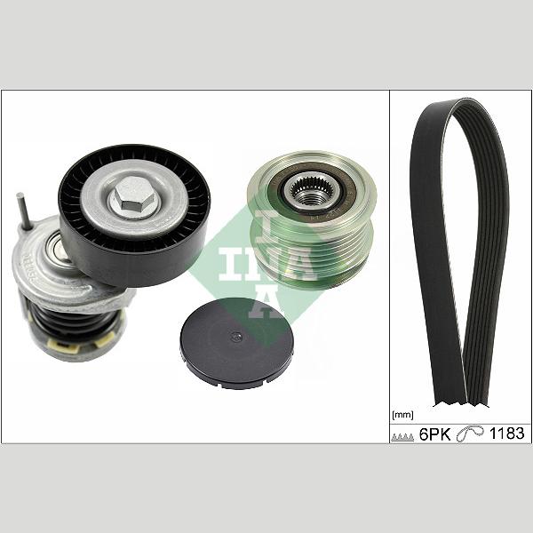 INA 529046620 V-Ribbed Belt Set