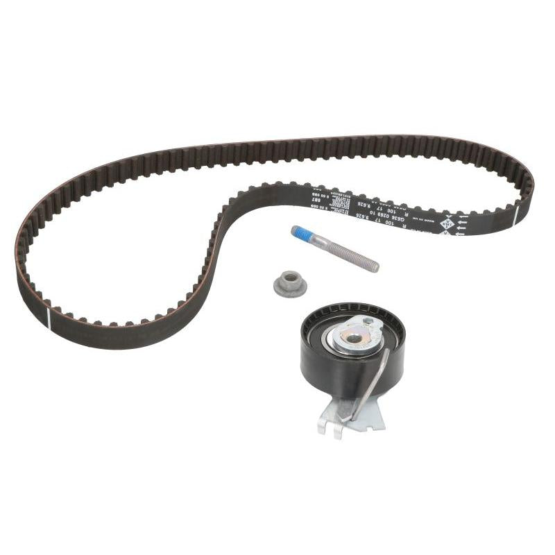 INA 530033410 Timing Belt Set