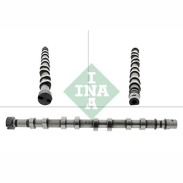 INA 428018610 Camshaft