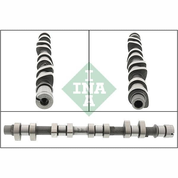 INA 428021210 Camshaft