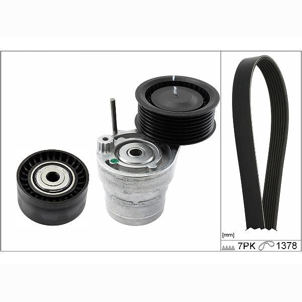 INA 529031310 V-Ribbed Belt Set