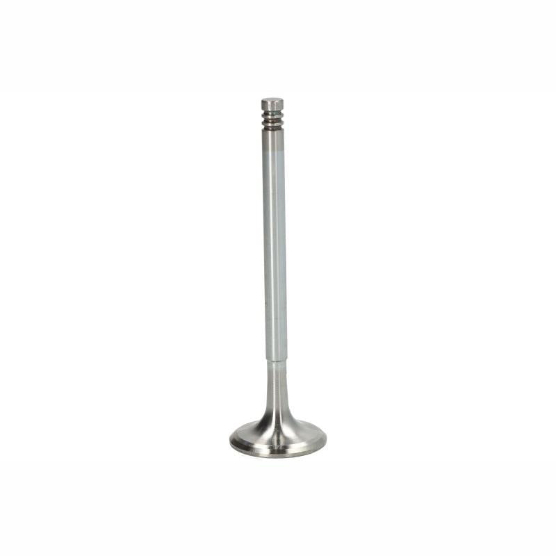 TRW 171125 Intake Valve