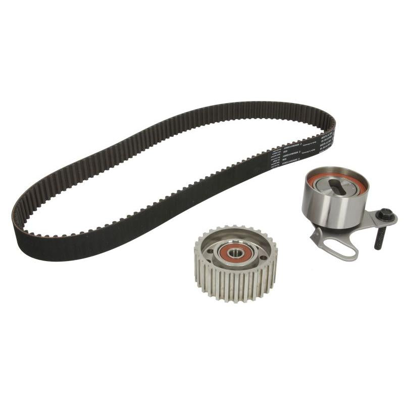 INA 530004810 Timing Belt Set