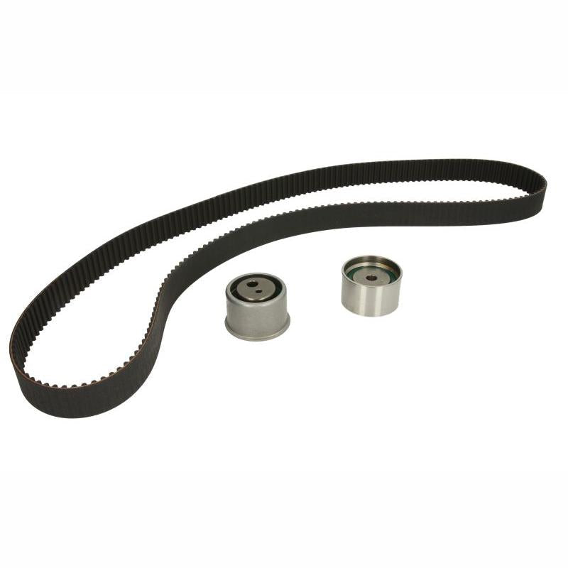 INA 530043010 Timing Belt Set