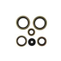 Vertex Pistons Vertex Gaskets 21-23 Gas-Gas MC125 Oil Seal Kit