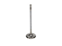 Manley Performance Manley Ford 4.6L 34mm Diameter 117.35mm Length Race Master Exhaust Valves (Set of 8)