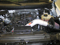 K&N Engineering K&N 11 Ford F150 5.0L V8 F/I High Flow Performance Intake Kit