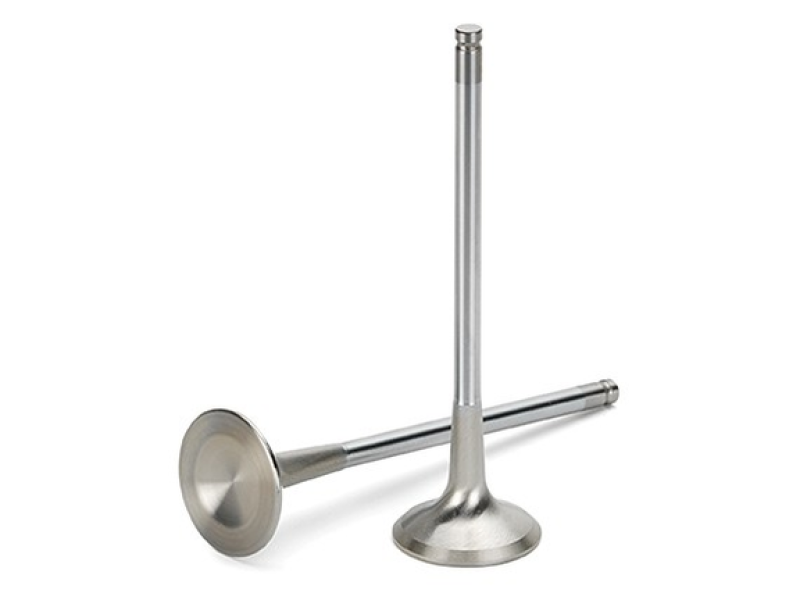 Supertech Honda H22A1/H22A4 Inconel Exhaust Valve - +1mm Oversize - Single (Drop Ship Only)