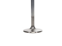 Manley Performance Manley 68-73 Dodge 5.6L Small Block Severe Duty Exhaust Valves 2.020in Head .371in Stem  (Set of 8)