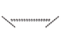 Ford Racing Ford GT and Mustang SVT 5.4L Lash Adjusters