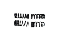 Ford Racing 1979-2004 Mustang Front/Rear Spring Kits