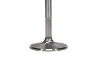 Manley Performance Manley Chrysler 340intake Valve Kit - 2.020in Head Dia. 5.240in O/A Length, 0.3415in Stem
