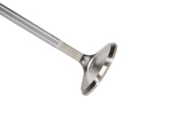 Manley Performance Manley 86-92 Toyota Supra 3.0L  (7MGE-Turbo 7MGTE) DOHC 24 Intake 33mm Stainless Race Master Valves