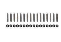 Ford Racing 2024+ Ford Mustang 5.0L (Coyote) Exhaust Gasket Kit