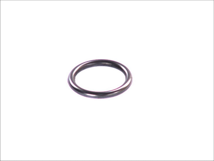 ELRING L074870 Seal Ring