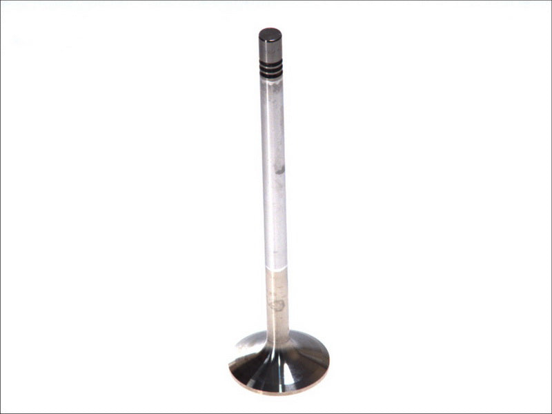 TRW 25306 Intake Valve
