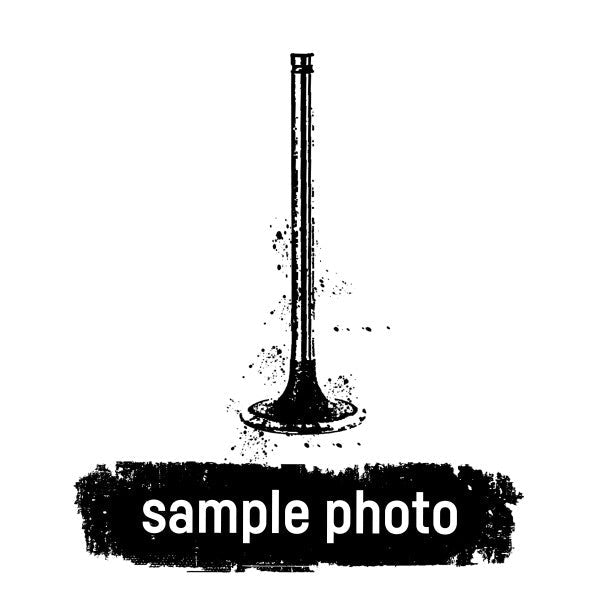 Mahle 081VX30895100 - Inlet valve