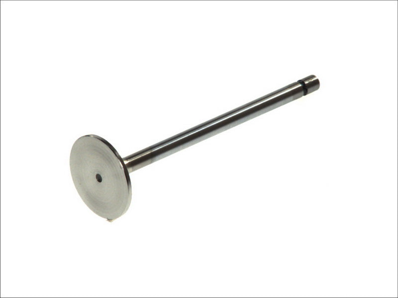 TRW 25249 Intake Valve